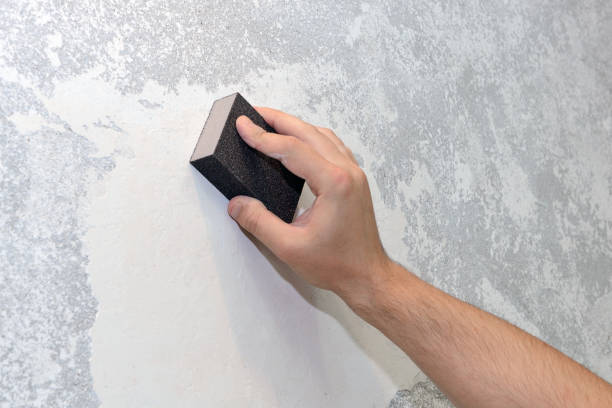 Best Water Damage & Mold Remediation  in Butler, GA