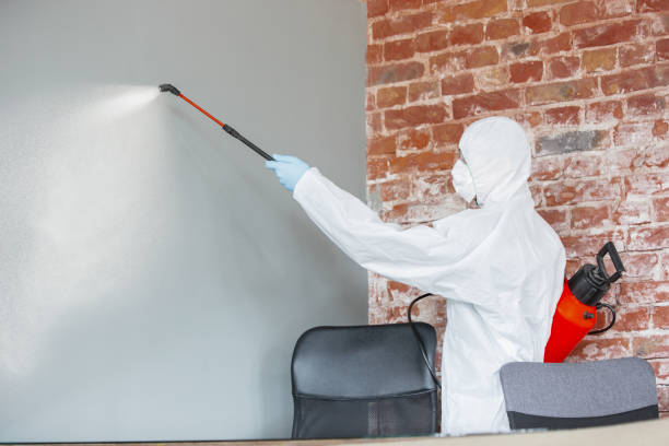 Best Comprehensive Air Testing for Mold Contaminants  in Butler, GA
