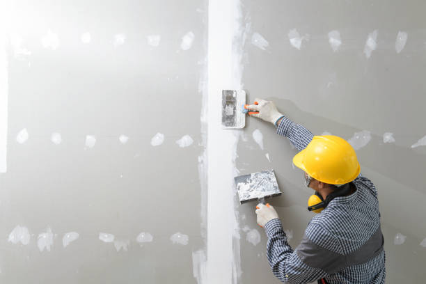 Best Mold Odor Removal Services  in Butler, GA