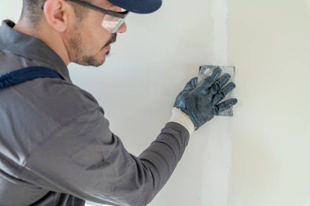 Reliable Butler, GA Mold Removal Solutions