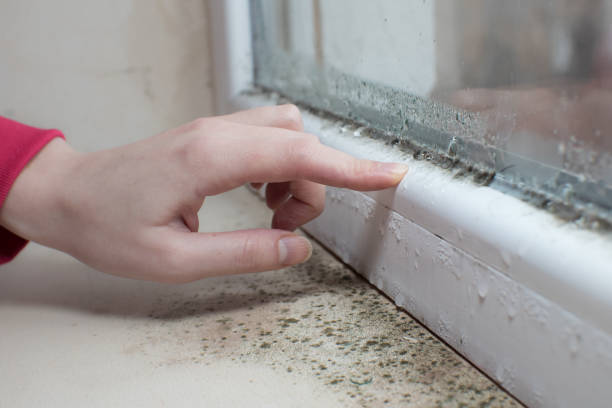 Best Indoor Air Quality Assessment  in Butler, GA