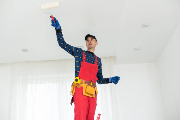 Best Post-Construction Mold Inspection  in Butler, GA