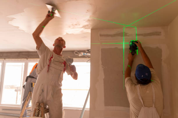 Best Emergency Mold Remediation  in Butler, GA