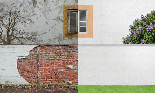 Best Forensic Mold Investigation  in Butler, GA