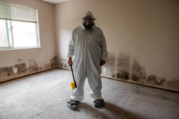 Best Mold Removal for HVAC Installations  in Butler, GA