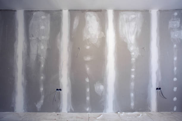Best Mold Prevention Services  in Butler, GA