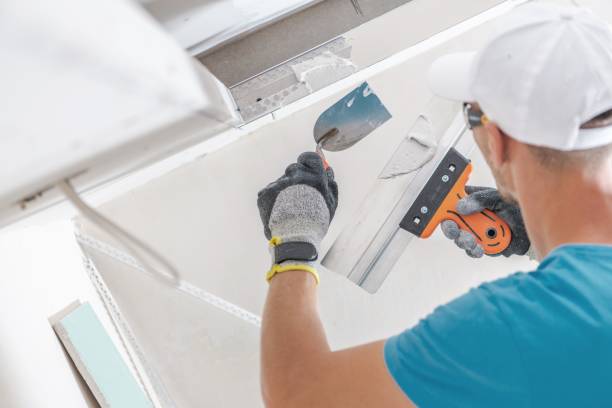 Best Environmental Consulting for Mold Prevention  in Butler, GA